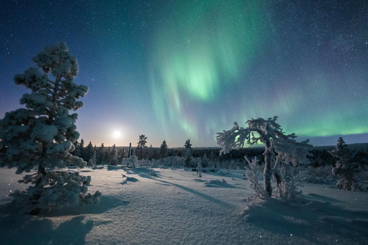사리셀카 Arctic Sky Lapland 빌라 외부 사진